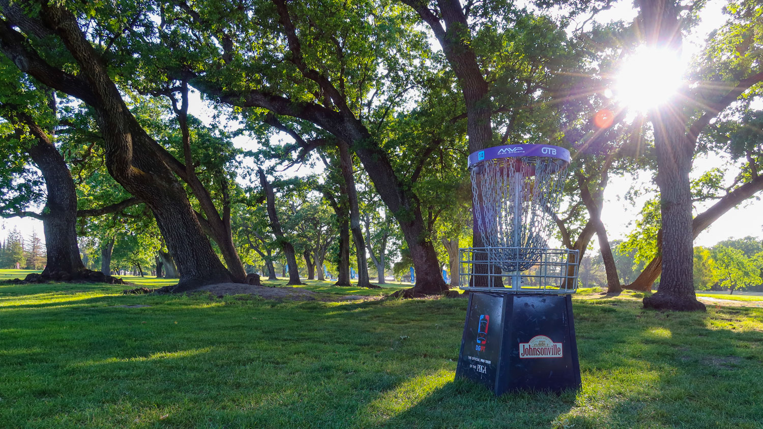 A photo representing disc golf basics, tips, and strategies